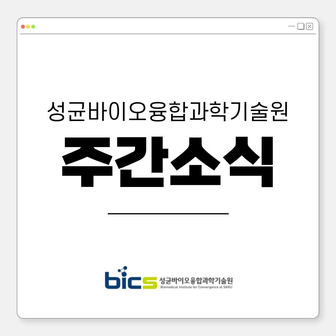 주간소식(2026년9월2주차)
