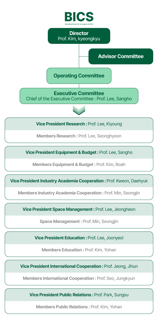 BICS Organization Chart